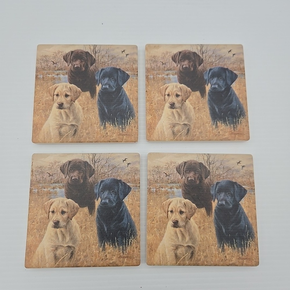 Labrador Retriever Absorbent Stone Coasters Set of 4 Box Made in‎ USA Dogs